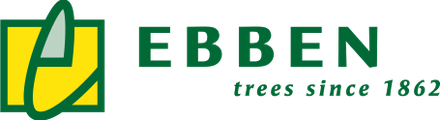 Ebben