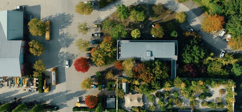 Beeld uit de Ebben-film