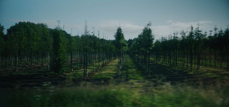 Beeld uit de Ebben-film