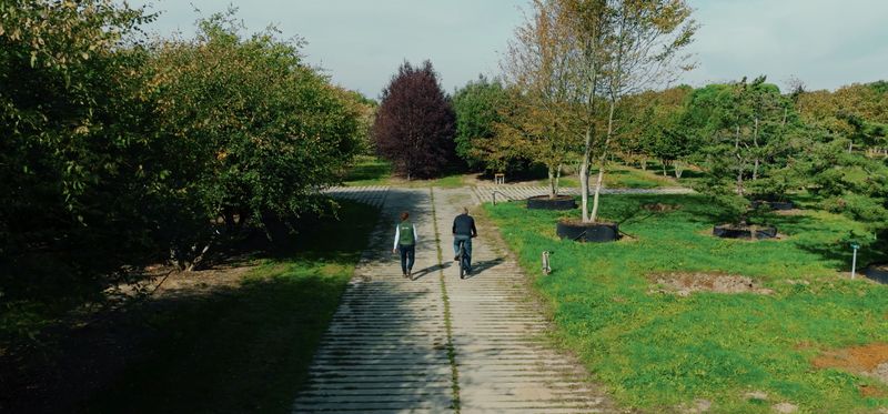 Beeld uit de Ebben-film