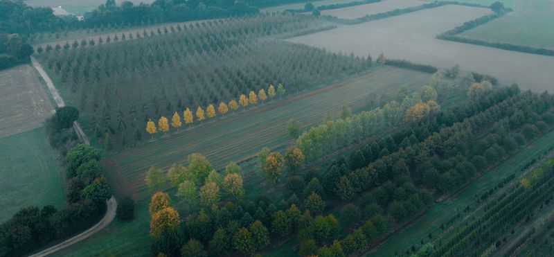 Beeld uit de Ebben-film