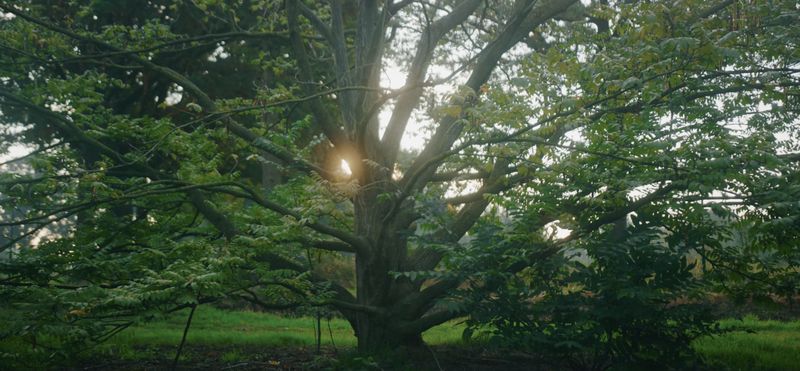Beeld uit de Ebben-film