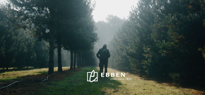 Beeld uit de Ebben-film